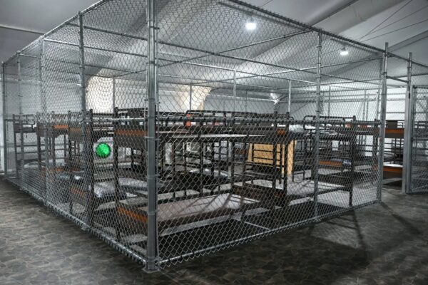 Sheinbaum confirma que hay 14 mexicanos en “Alligator Alcatraz”