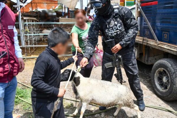 Devuelven lo extorsionado: Secretaría del Bienestar entrega borreguitos, pollo y aves de corral incautados en Operación Liberación