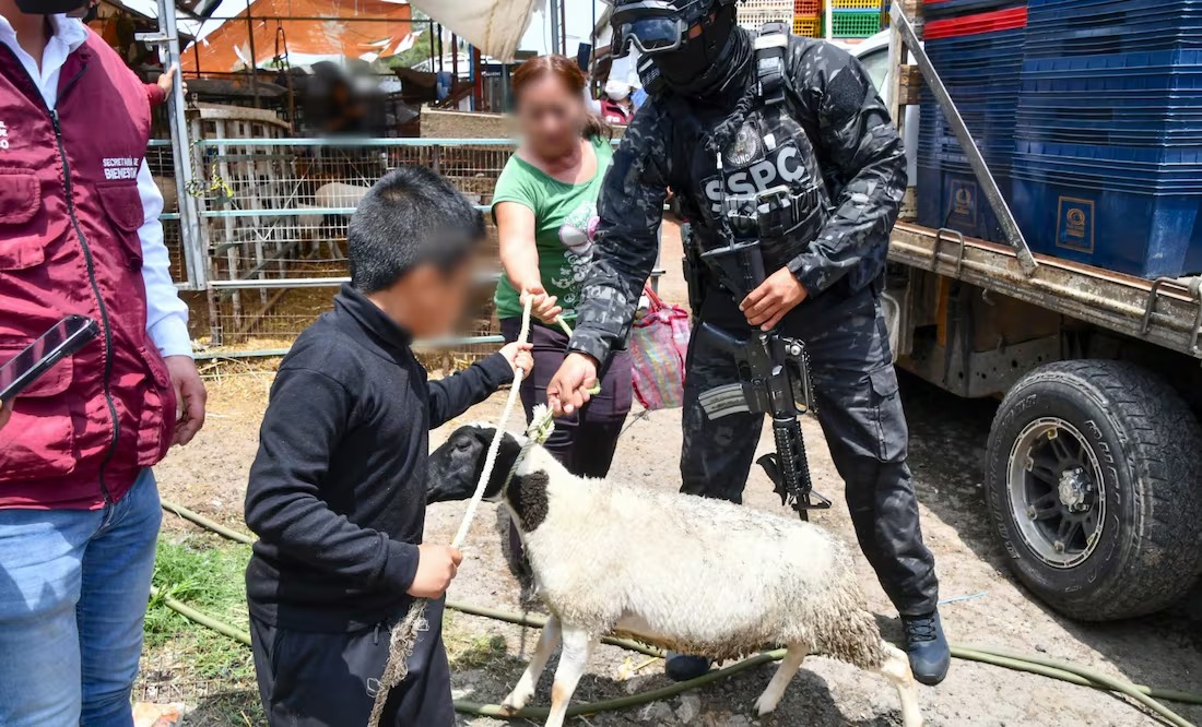 Devuelven lo extorsionado: Secretaría del Bienestar entrega borreguitos, pollo y aves de corral incautados en Operación Liberación