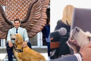 Perro del gobernador de Puebla tiene cargo oficial, programa de TV y “habla” en conferencias