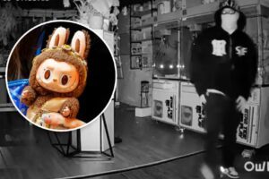 Roban muñecos Labubu valuados en 7 mil dólares en tienda de Los Ángeles