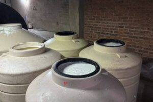 “Lechicoleo”: el nuevo negocio del crimen organizado en México