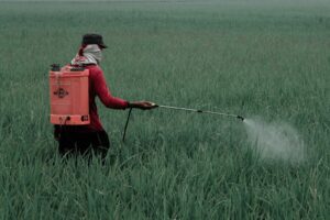 Gobierno de México prohíbe 35 plaguicidas peligrosos