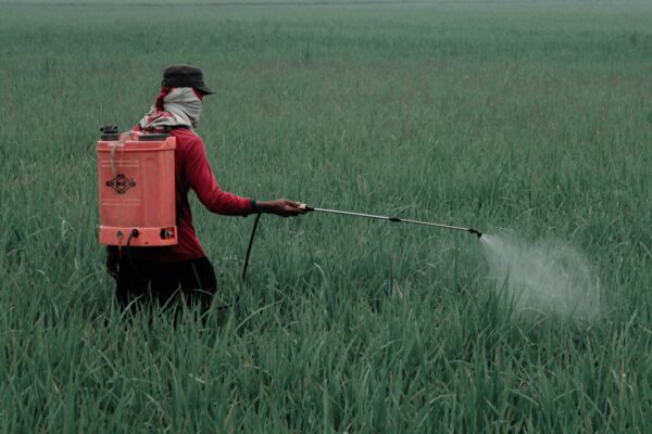 Gobierno de México prohíbe 35 plaguicidas peligrosos