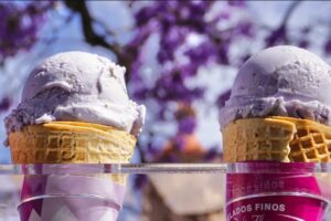 Sabor a patria: así evoluciona la industria del helado hecho en México