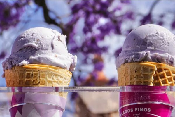 Sabor a patria: así evoluciona la industria del helado hecho en México