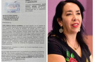 Movimiento Ciudadano presenta demanda de juicio político contra diputada Hilda Araceli Brown