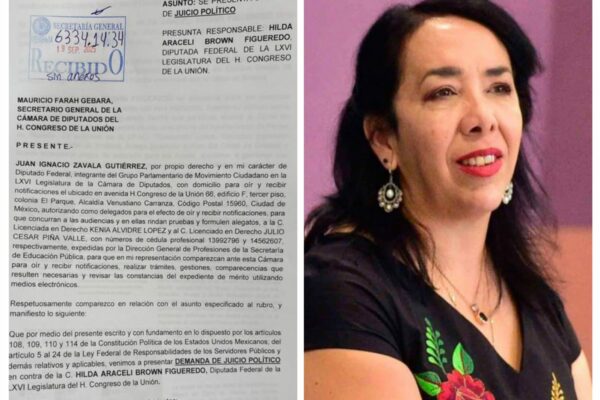 Movimiento Ciudadano presenta demanda de juicio político contra diputada Hilda Araceli Brown