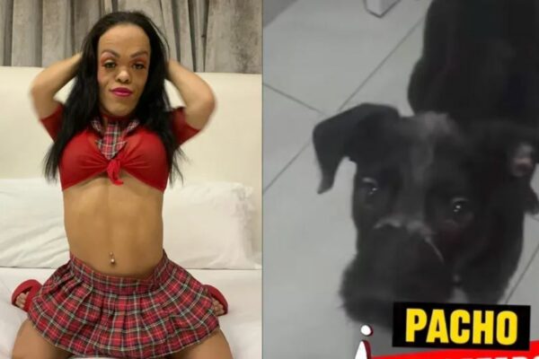 Influencer gōlpēa a perrito con escoba durante transmisión en vivo