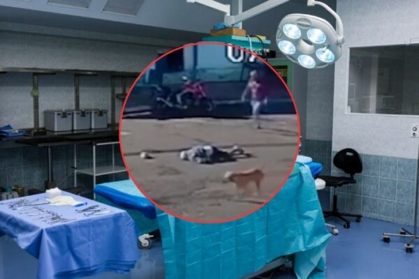 Abuelito que fue “atropellado” por un perro despierta del coma y queda cuadripléjico