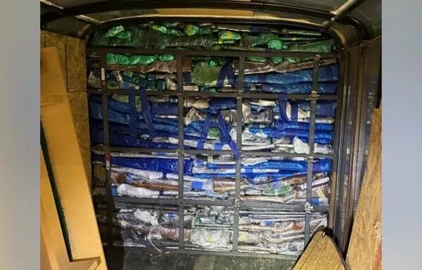 Padre e hijo son detenidos en Texas por intentar ingresar al menos 400 armas a México