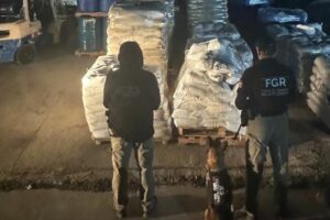 Aseguran más de 13 toneladas y 13 mil 400 litros de precursores químicos en carretera de Durango