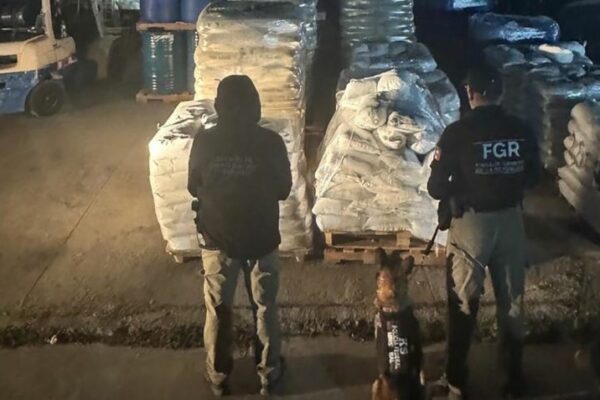 Aseguran más de 13 toneladas y 13 mil 400 litros de precursores químicos en carretera de Durango