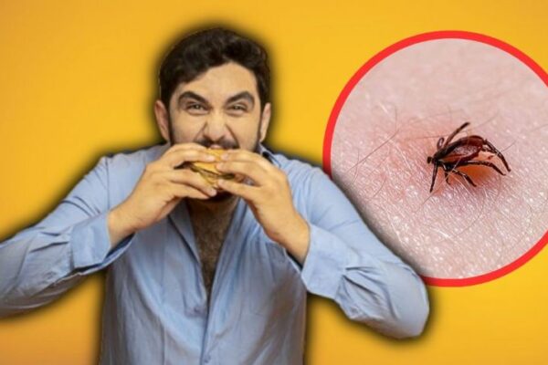 Hombre pierde la vida por comer una hamburguesa; una garrapata fue la responsable