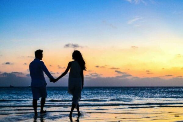 Teoría del pájaro: así funciona la tendencia viral que miles usan para saber si su relación sigue fuerte