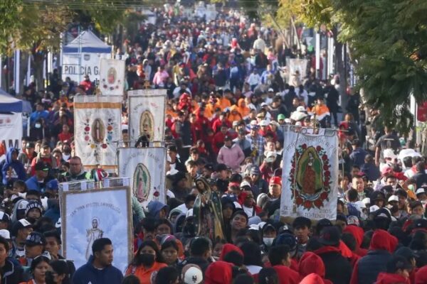 Sacrificaban perros para consumo humano en Oaxaca
