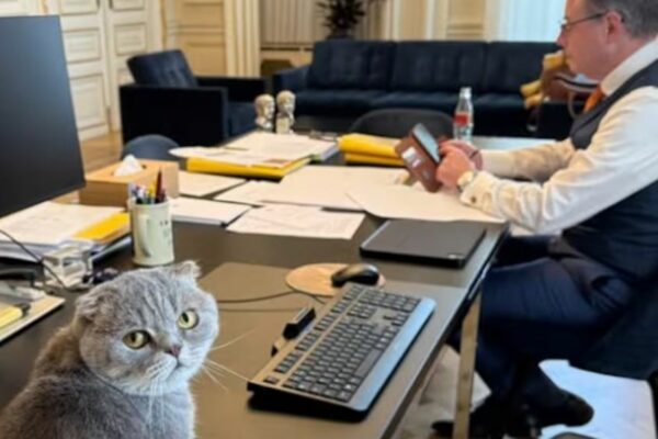El nuevo fenómeno viral de Bélgica tiene cuatro patas y vive con el primer ministro