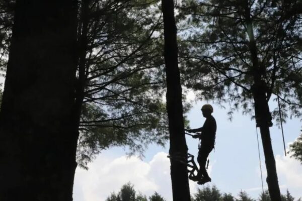“Bosque Escuela”, educación ambiental con enfoque innovador en el Estado de México