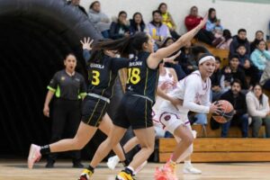 Arranque triunfal de las bicampeonas Mieleras de Guanajuato con barrida en Toluca