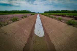 Tecnificación de riego en Morelos recuperará 55 millones de metros cúbicos de agua