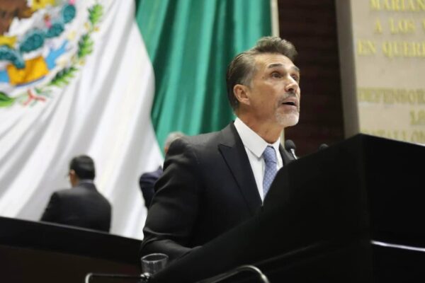 Sergio Mayer solicita reincorporación a la Cámara de Diputados