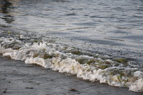 Derrame de hidrocarburo en el Golfo de México tiene tres fuentes, revela Secretaría de Marina