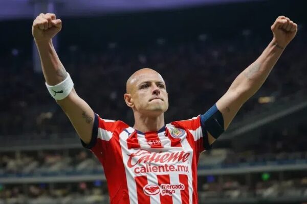 Borrador automático