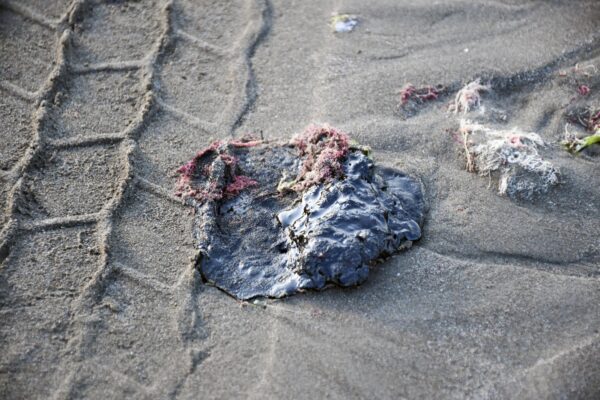 Fuga en oleoducto provocó derrame de crudo en el Golfo de México: Pemex