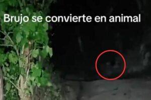 Tiktoker asegura haber tenido un encuentro con “brujo” en Izalco y se vuelve viral en redes