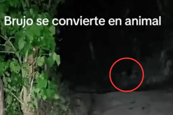 Tiktoker asegura haber tenido un encuentro con “brujo” en Izalco y se vuelve viral en redes